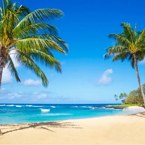 Closed For Vacation - See You 11/15 - Picture 4 of 4